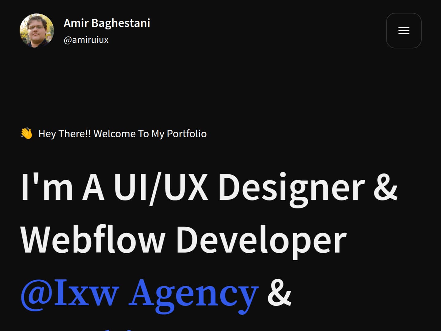 Amir Baghestani Portfolio