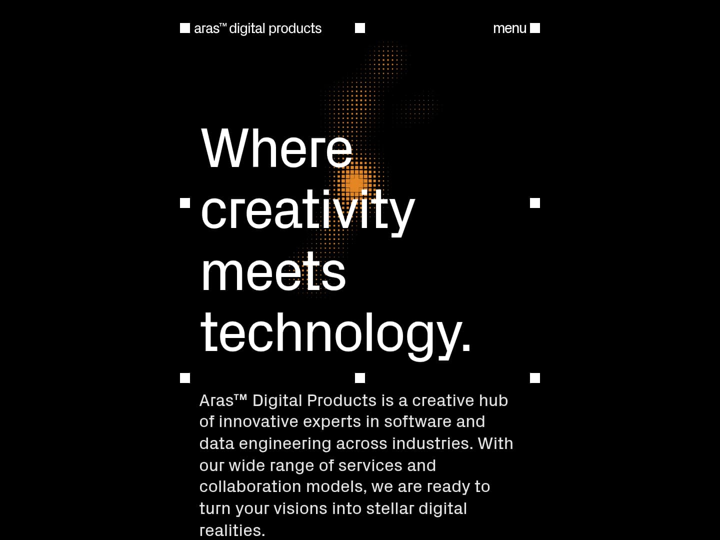 Aras Digital Portfolio