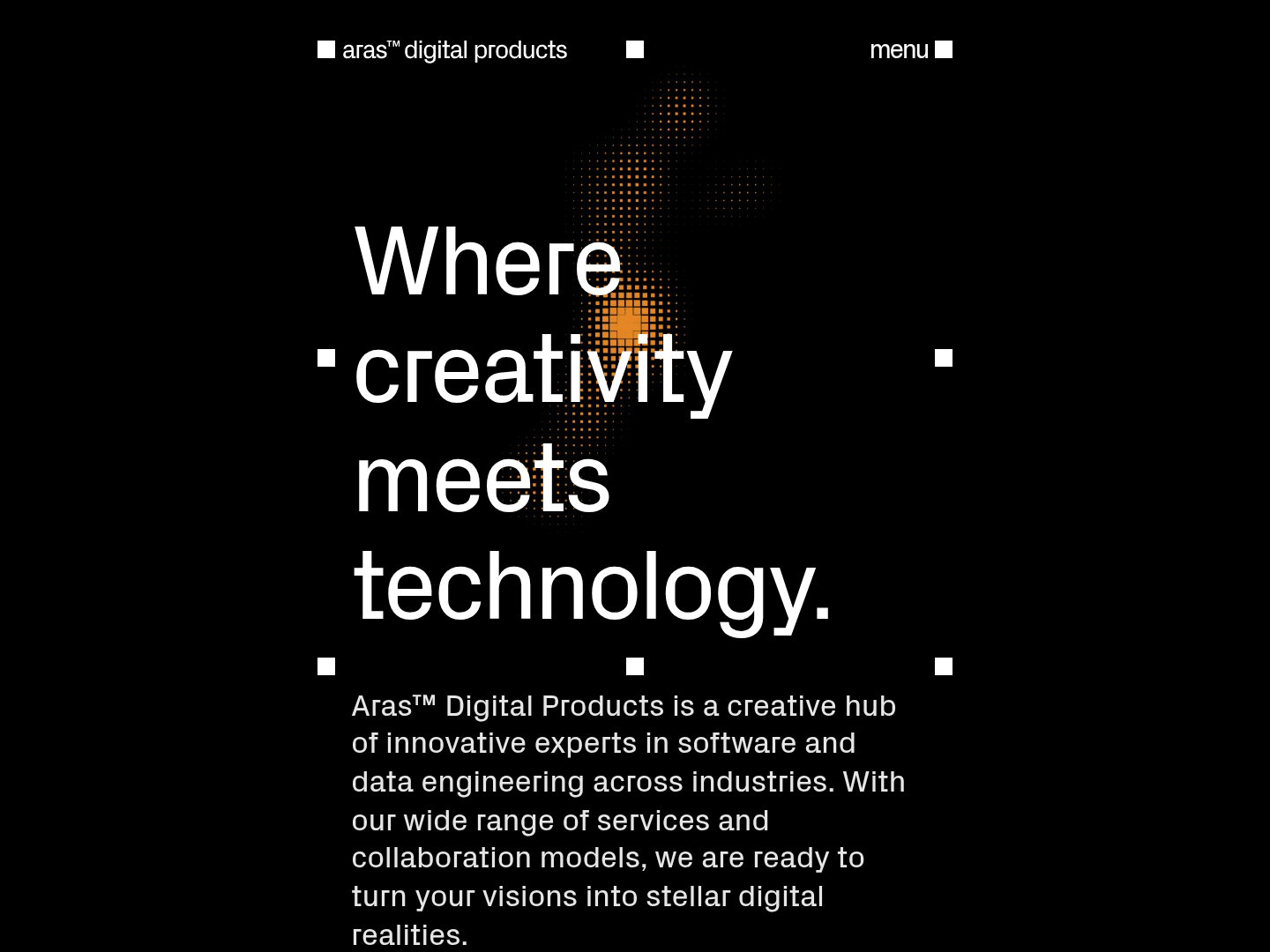 Aras Digital Portfolio