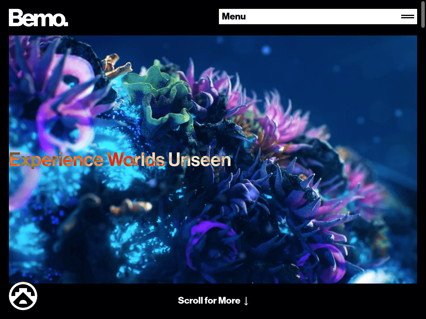 Bemo Portfolio