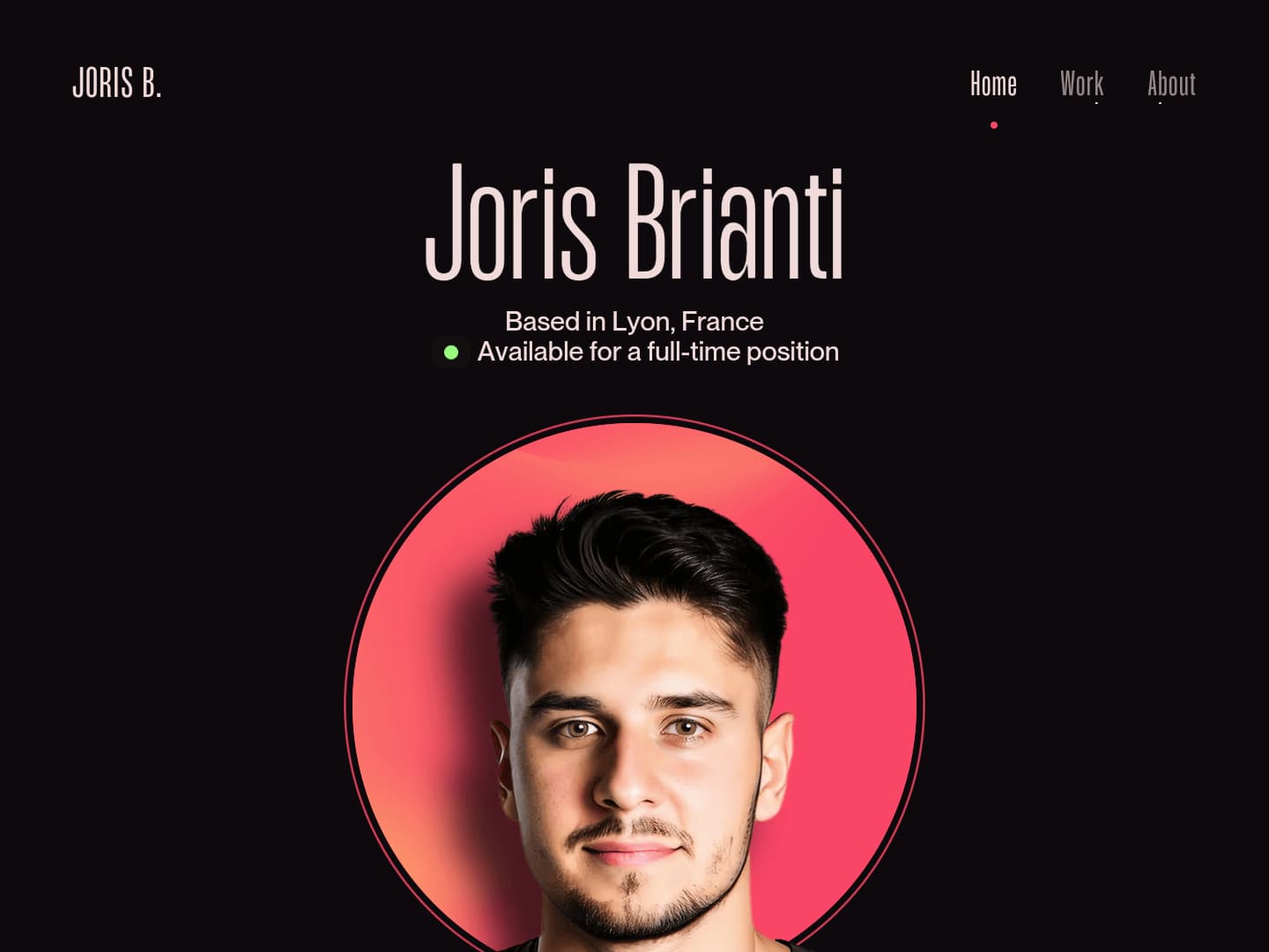 Joris Brianti Portfolio